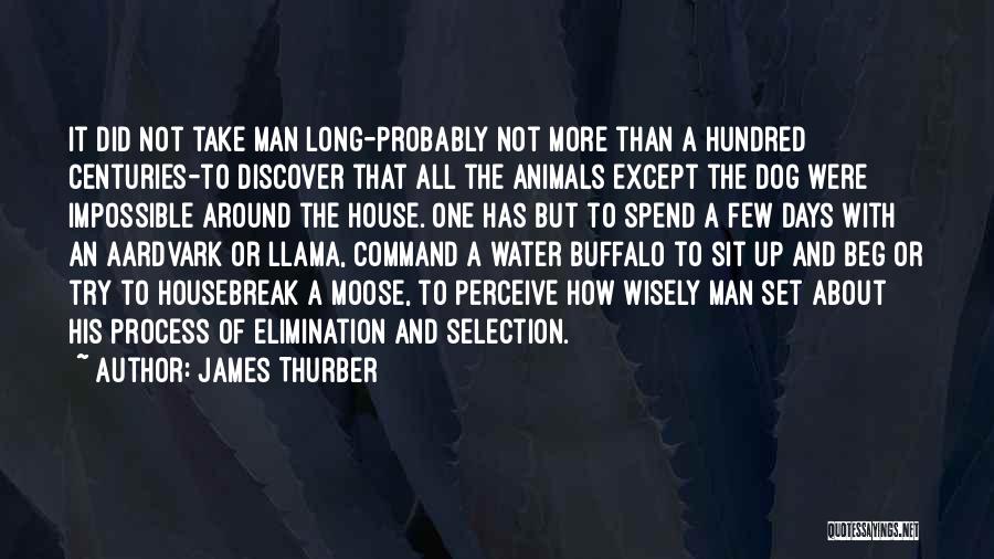 James Thurber Quotes: It Did Not Take Man Long-probably Not More Than A Hundred Centuries-to Discover That All The Animals Except The Dog