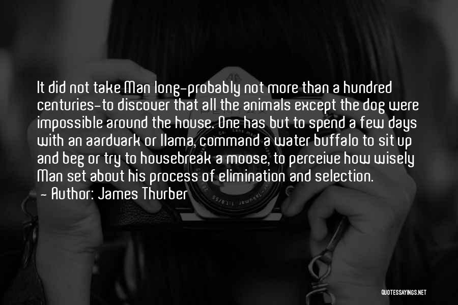 James Thurber Quotes: It Did Not Take Man Long-probably Not More Than A Hundred Centuries-to Discover That All The Animals Except The Dog