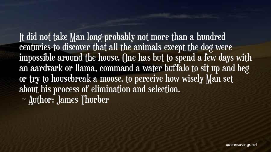 James Thurber Quotes: It Did Not Take Man Long-probably Not More Than A Hundred Centuries-to Discover That All The Animals Except The Dog