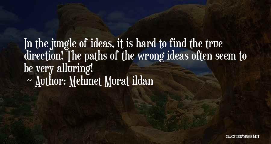 Mehmet Murat Ildan Quotes: In The Jungle Of Ideas, It Is Hard To Find The True Direction! The Paths Of The Wrong Ideas Often