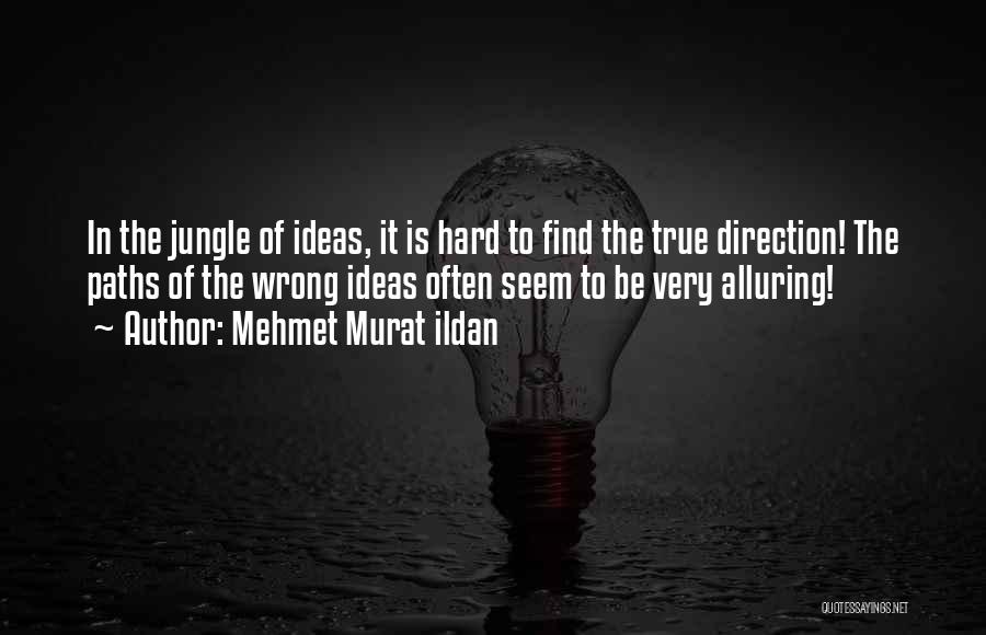 Mehmet Murat Ildan Quotes: In The Jungle Of Ideas, It Is Hard To Find The True Direction! The Paths Of The Wrong Ideas Often