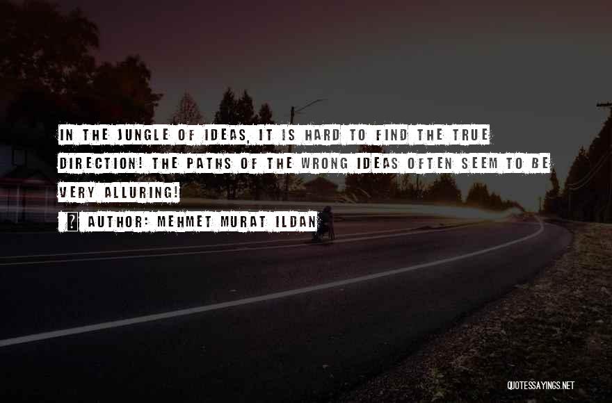 Mehmet Murat Ildan Quotes: In The Jungle Of Ideas, It Is Hard To Find The True Direction! The Paths Of The Wrong Ideas Often