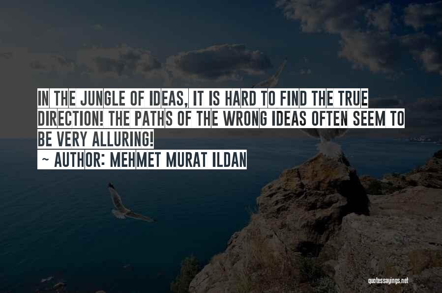 Mehmet Murat Ildan Quotes: In The Jungle Of Ideas, It Is Hard To Find The True Direction! The Paths Of The Wrong Ideas Often