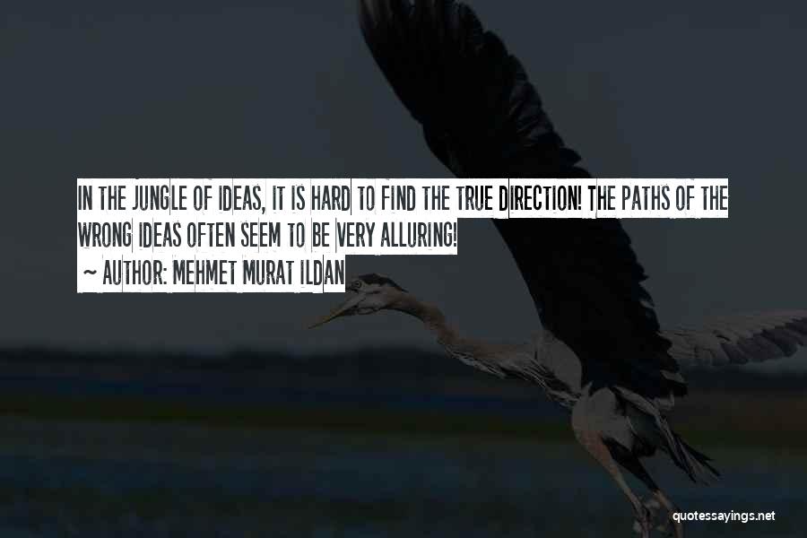 Mehmet Murat Ildan Quotes: In The Jungle Of Ideas, It Is Hard To Find The True Direction! The Paths Of The Wrong Ideas Often