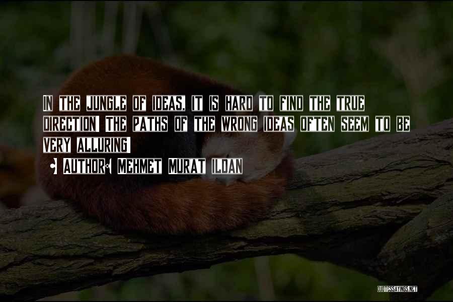 Mehmet Murat Ildan Quotes: In The Jungle Of Ideas, It Is Hard To Find The True Direction! The Paths Of The Wrong Ideas Often