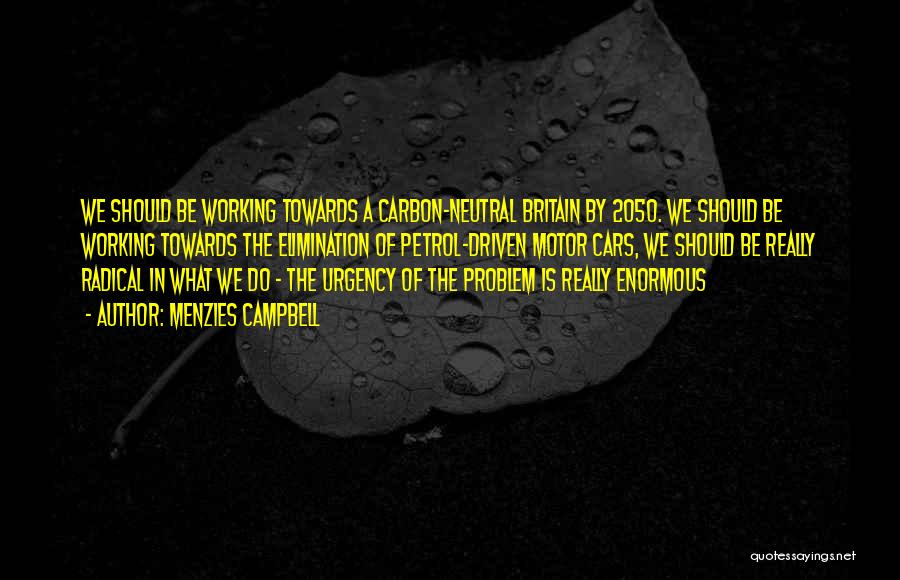 Menzies Campbell Quotes: We Should Be Working Towards A Carbon-neutral Britain By 2050. We Should Be Working Towards The Elimination Of Petrol-driven Motor