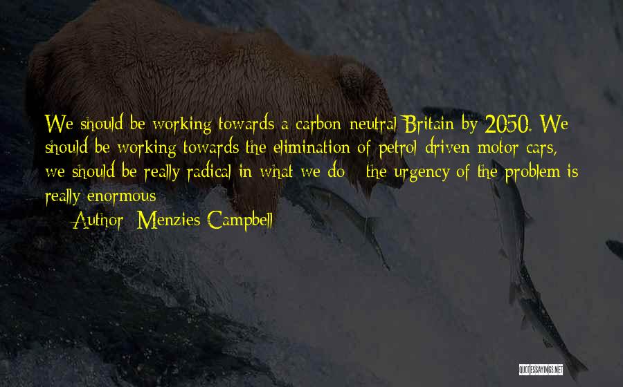 Menzies Campbell Quotes: We Should Be Working Towards A Carbon-neutral Britain By 2050. We Should Be Working Towards The Elimination Of Petrol-driven Motor