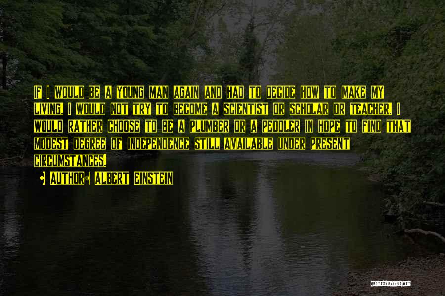 Albert Einstein Quotes: If I Would Be A Young Man Again And Had To Decide How To Make My Living, I Would Not
