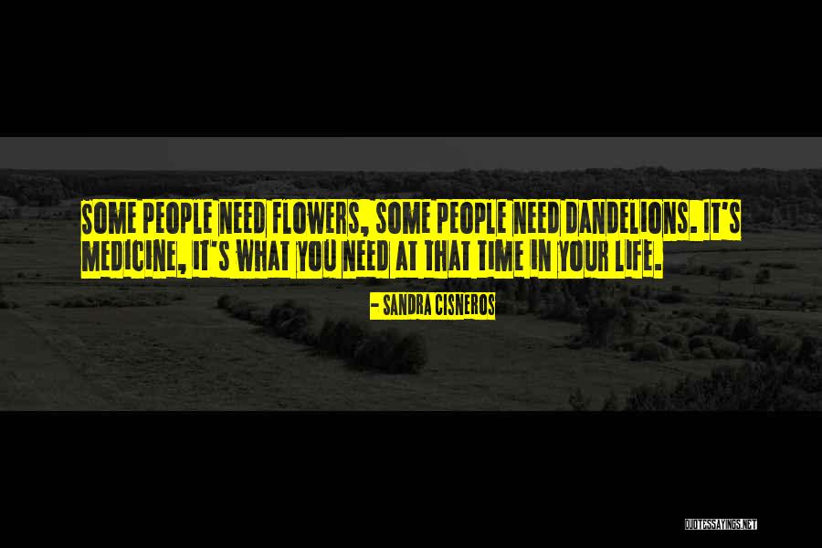 1454 Feet Quotes By Sandra Cisneros 1454 Feet Quotes By Sandra Cisneros