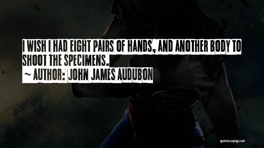 John James Audubon Quotes: I Wish I Had Eight Pairs Of Hands, And Another Body To Shoot The Specimens.