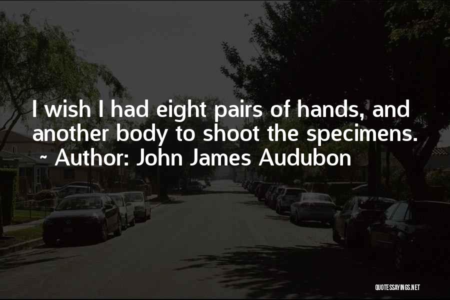 John James Audubon Quotes: I Wish I Had Eight Pairs Of Hands, And Another Body To Shoot The Specimens.