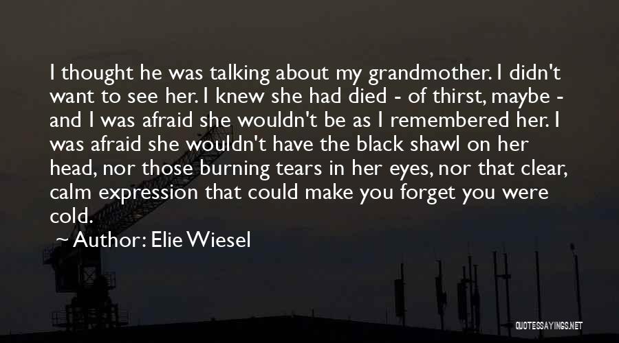 Elie Wiesel Quotes: I Thought He Was Talking About My Grandmother. I Didn't Want To See Her. I Knew She Had Died -