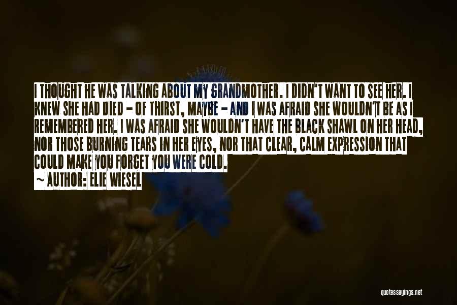 Elie Wiesel Quotes: I Thought He Was Talking About My Grandmother. I Didn't Want To See Her. I Knew She Had Died -