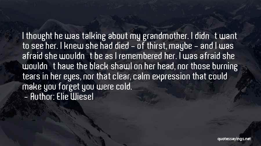 Elie Wiesel Quotes: I Thought He Was Talking About My Grandmother. I Didn't Want To See Her. I Knew She Had Died -