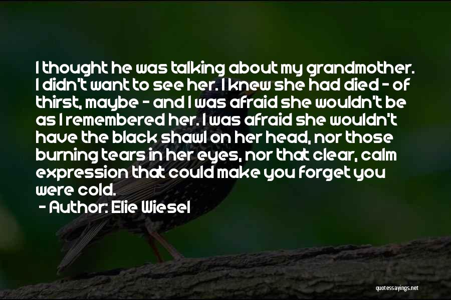 Elie Wiesel Quotes: I Thought He Was Talking About My Grandmother. I Didn't Want To See Her. I Knew She Had Died -