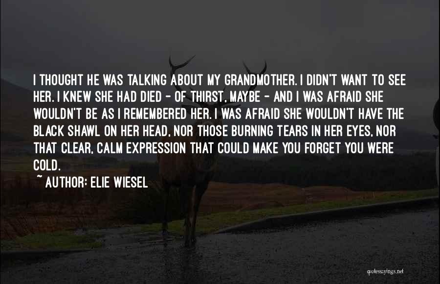 Elie Wiesel Quotes: I Thought He Was Talking About My Grandmother. I Didn't Want To See Her. I Knew She Had Died -