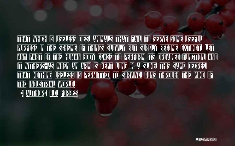 B.C. Forbes Quotes: That Which Is Useless Dies. Animals That Fail To Serve Some Useful Purpose In The Scheme Of Things Slowly But