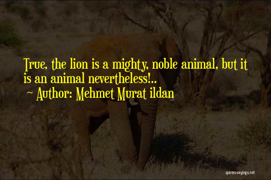 Mehmet Murat Ildan Quotes: True, The Lion Is A Mighty, Noble Animal, But It Is An Animal Nevertheless!..