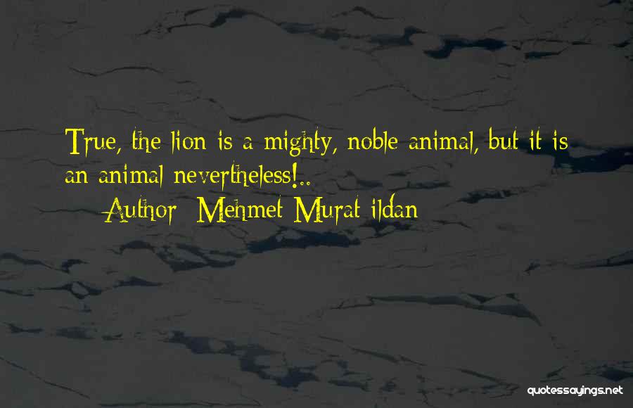 Mehmet Murat Ildan Quotes: True, The Lion Is A Mighty, Noble Animal, But It Is An Animal Nevertheless!..