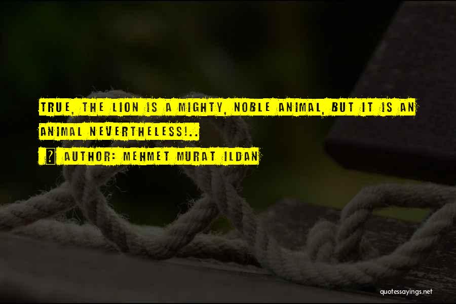 Mehmet Murat Ildan Quotes: True, The Lion Is A Mighty, Noble Animal, But It Is An Animal Nevertheless!..