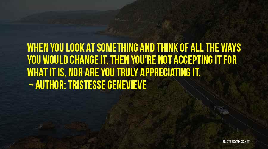 Tristesse Genevieve Quotes: When You Look At Something And Think Of All The Ways You Would Change It, Then You're Not Accepting It