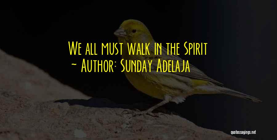 Sunday Adelaja Quotes: We All Must Walk In The Spirit