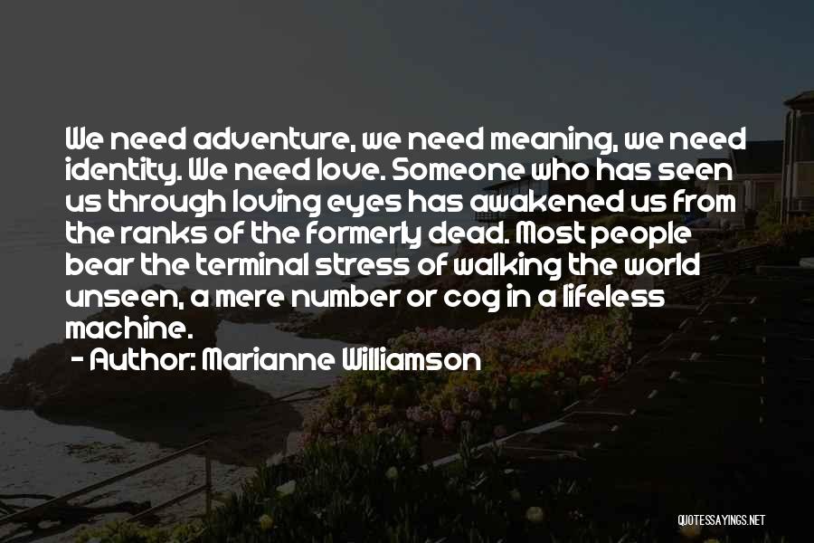 Marianne Williamson Quotes: We Need Adventure, We Need Meaning, We Need Identity. We Need Love. Someone Who Has Seen Us Through Loving Eyes