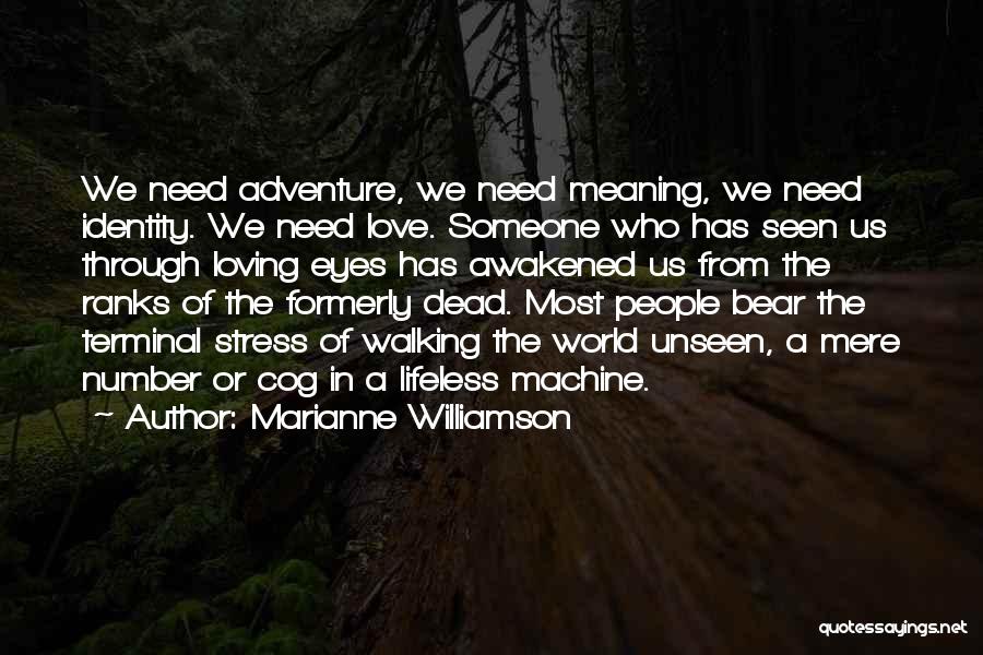 Marianne Williamson Quotes: We Need Adventure, We Need Meaning, We Need Identity. We Need Love. Someone Who Has Seen Us Through Loving Eyes