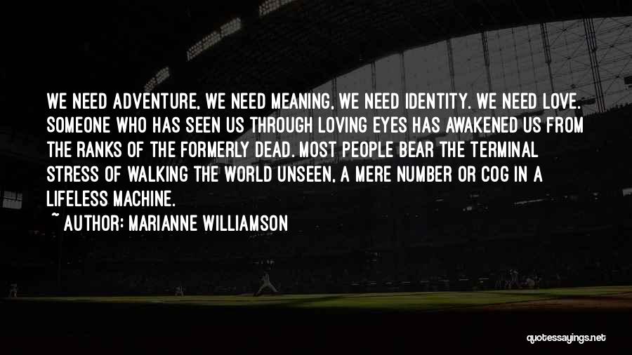 Marianne Williamson Quotes: We Need Adventure, We Need Meaning, We Need Identity. We Need Love. Someone Who Has Seen Us Through Loving Eyes