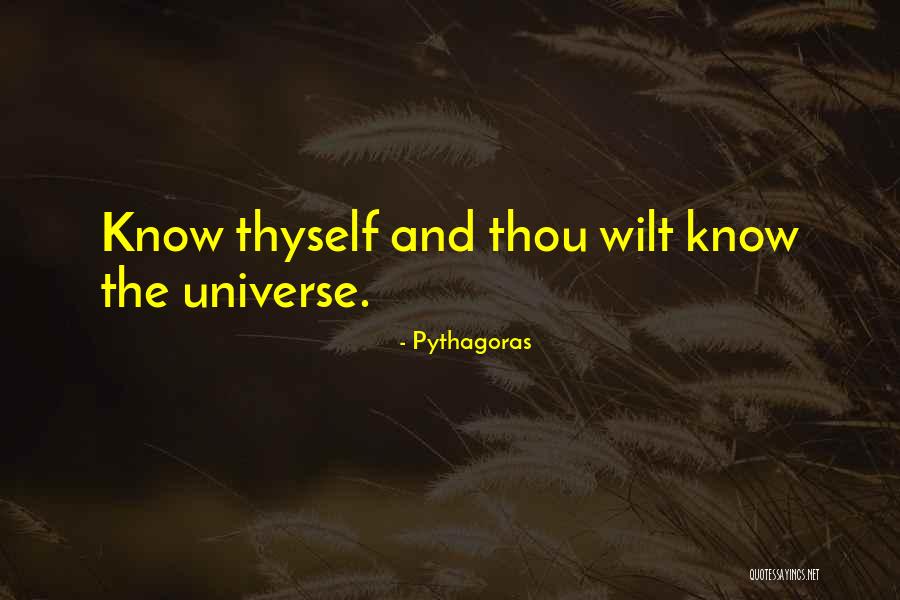 14567 Quotes By Pythagoras
