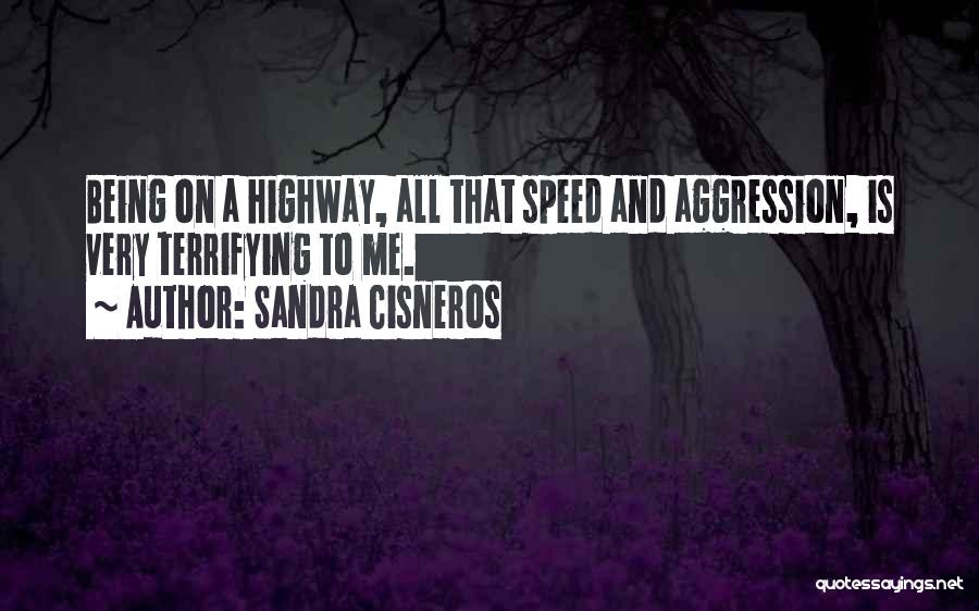 Sandra Cisneros Quotes: Being On A Highway, All That Speed And Aggression, Is Very Terrifying To Me.