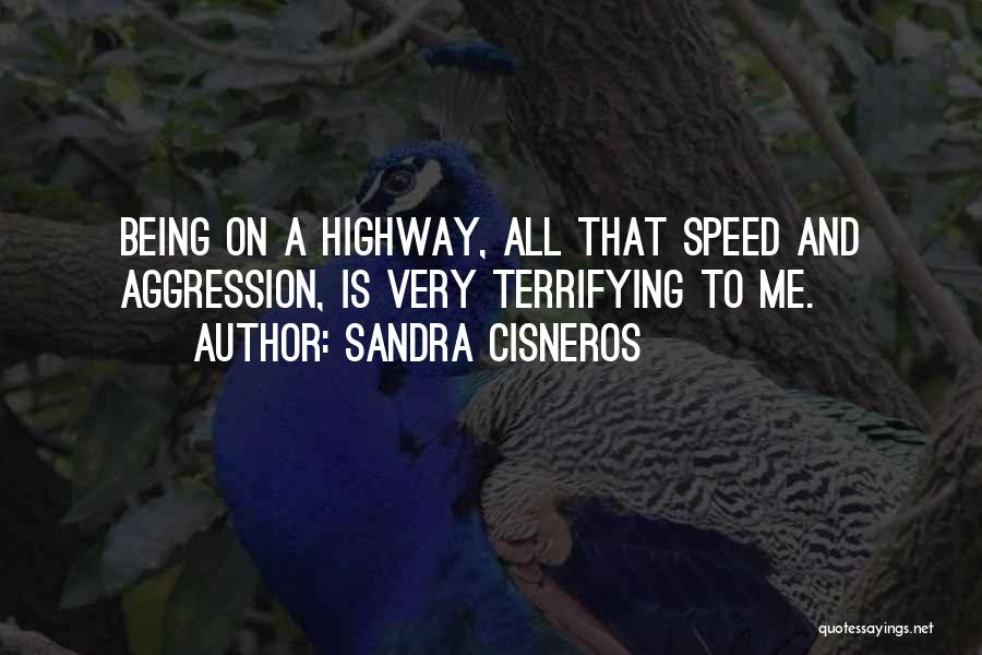 Sandra Cisneros Quotes: Being On A Highway, All That Speed And Aggression, Is Very Terrifying To Me.