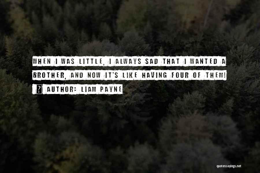 Liam Payne Quotes: When I Was Little, I Always Sad That I Wanted A Brother, And Now It's Like Having Four Of Them!