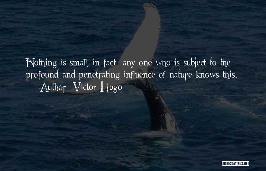 Victor Hugo Quotes: Nothing Is Small, In Fact; Any One Who Is Subject To The Profound And Penetrating Influence Of Nature Knows This.