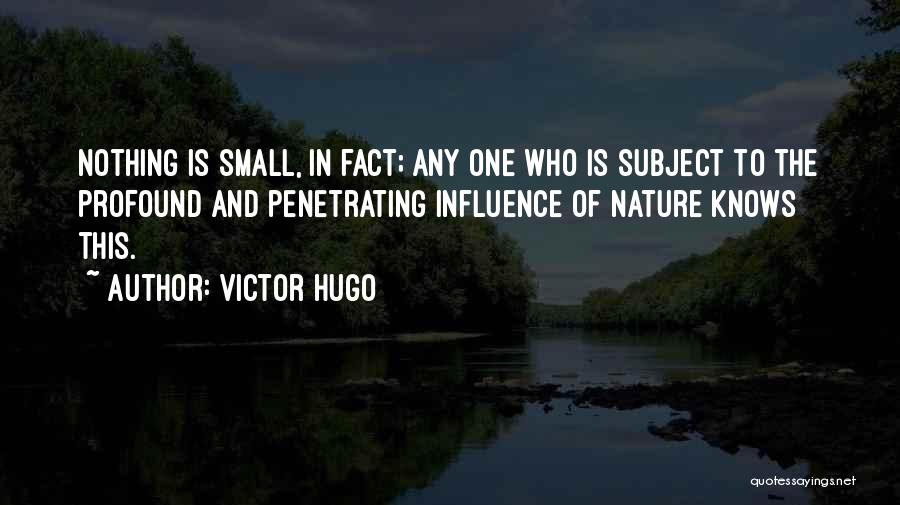 Victor Hugo Quotes: Nothing Is Small, In Fact; Any One Who Is Subject To The Profound And Penetrating Influence Of Nature Knows This.