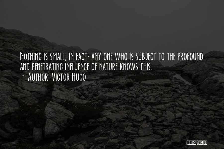 Victor Hugo Quotes: Nothing Is Small, In Fact; Any One Who Is Subject To The Profound And Penetrating Influence Of Nature Knows This.