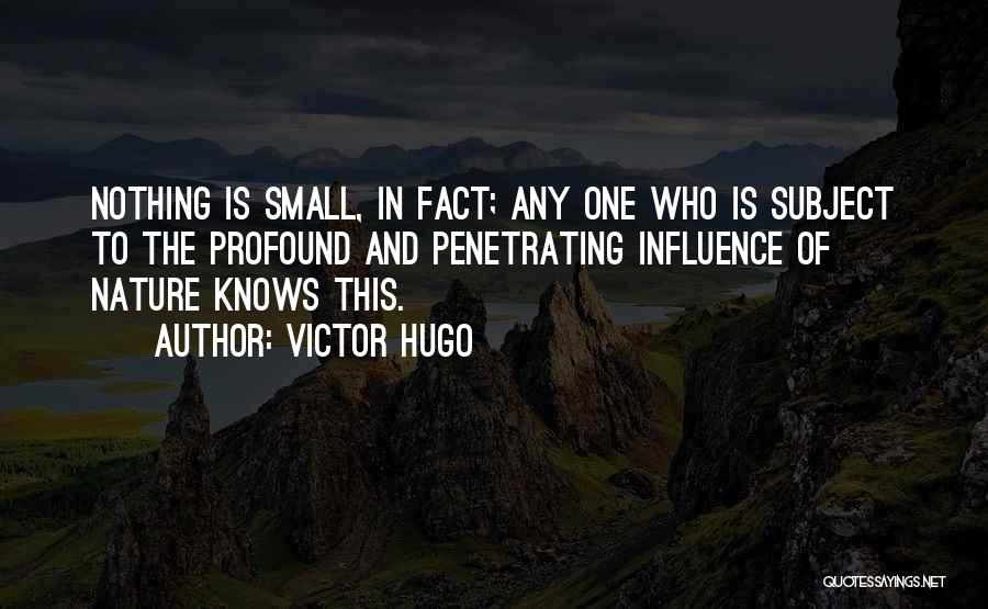 Victor Hugo Quotes: Nothing Is Small, In Fact; Any One Who Is Subject To The Profound And Penetrating Influence Of Nature Knows This.
