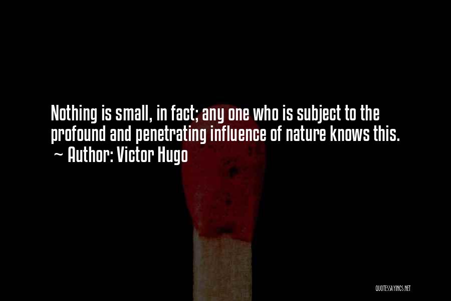 Victor Hugo Quotes: Nothing Is Small, In Fact; Any One Who Is Subject To The Profound And Penetrating Influence Of Nature Knows This.