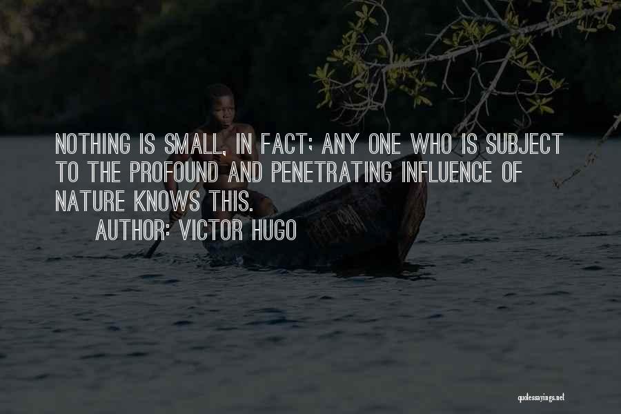 Victor Hugo Quotes: Nothing Is Small, In Fact; Any One Who Is Subject To The Profound And Penetrating Influence Of Nature Knows This.