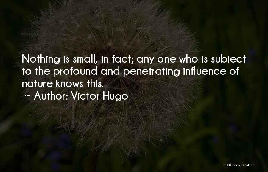 Victor Hugo Quotes: Nothing Is Small, In Fact; Any One Who Is Subject To The Profound And Penetrating Influence Of Nature Knows This.