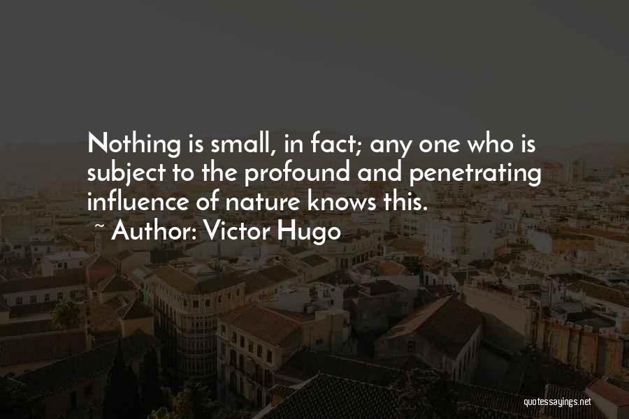 Victor Hugo Quotes: Nothing Is Small, In Fact; Any One Who Is Subject To The Profound And Penetrating Influence Of Nature Knows This.