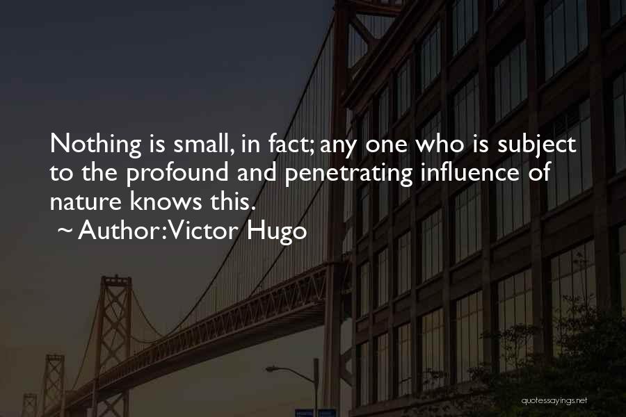 Victor Hugo Quotes: Nothing Is Small, In Fact; Any One Who Is Subject To The Profound And Penetrating Influence Of Nature Knows This.