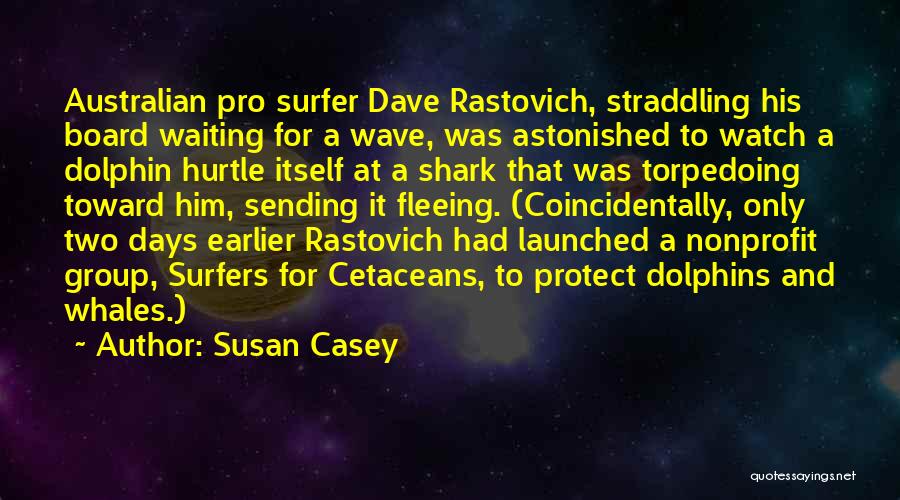 Susan Casey Quotes: Australian Pro Surfer Dave Rastovich, Straddling His Board Waiting For A Wave, Was Astonished To Watch A Dolphin Hurtle Itself