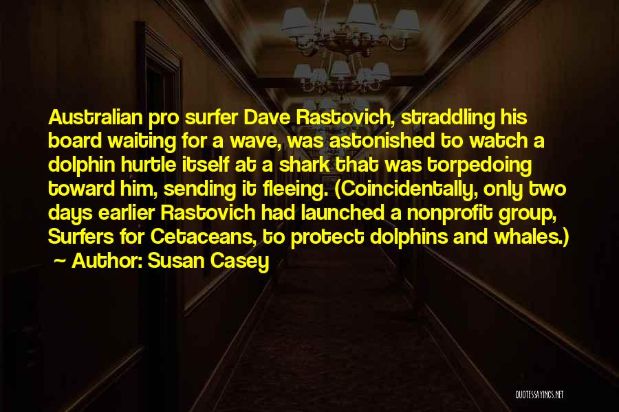 Susan Casey Quotes: Australian Pro Surfer Dave Rastovich, Straddling His Board Waiting For A Wave, Was Astonished To Watch A Dolphin Hurtle Itself