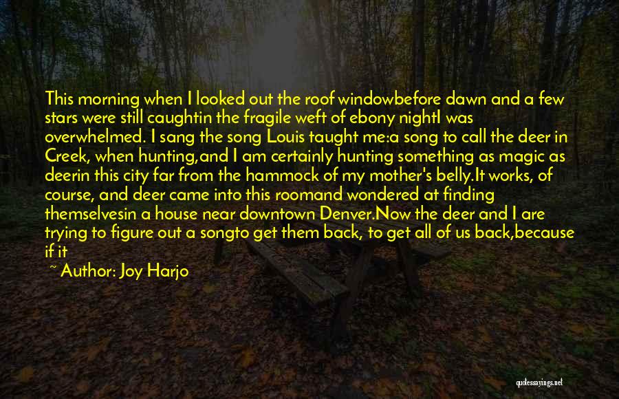 Joy Harjo Quotes: This Morning When I Looked Out The Roof Windowbefore Dawn And A Few Stars Were Still Caughtin The Fragile Weft