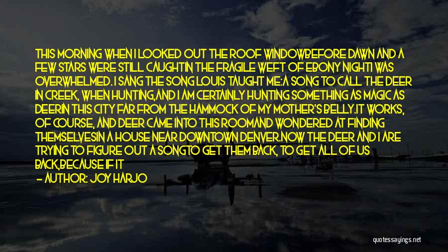 Joy Harjo Quotes: This Morning When I Looked Out The Roof Windowbefore Dawn And A Few Stars Were Still Caughtin The Fragile Weft