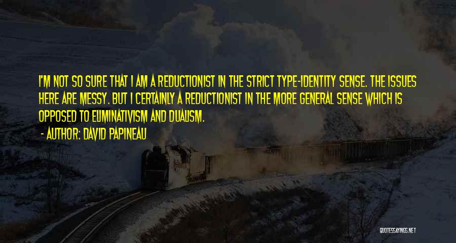 David Papineau Quotes: I'm Not So Sure That I Am A Reductionist In The Strict Type-identity Sense. The Issues Here Are Messy. But