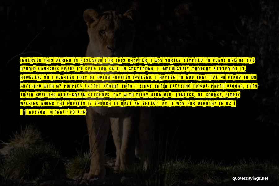 Michael Pollan Quotes: Immersed This Spring In Research For This Chapter, I Was Sorely Tempted To Plant One Of The Hybrid Cannabis Seeds