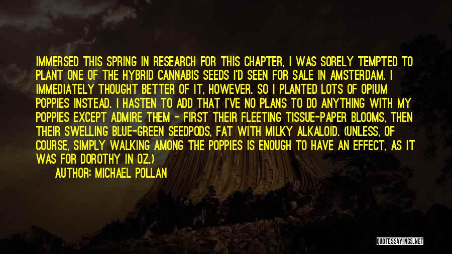 Michael Pollan Quotes: Immersed This Spring In Research For This Chapter, I Was Sorely Tempted To Plant One Of The Hybrid Cannabis Seeds