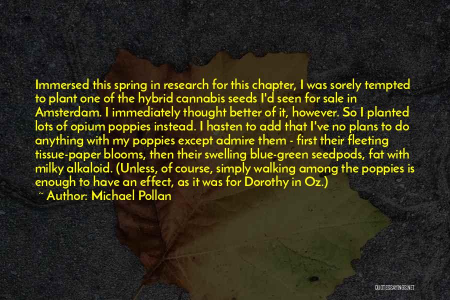 Michael Pollan Quotes: Immersed This Spring In Research For This Chapter, I Was Sorely Tempted To Plant One Of The Hybrid Cannabis Seeds